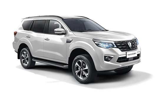 Oting Paladin 2.0 AT 2WD Делюкс